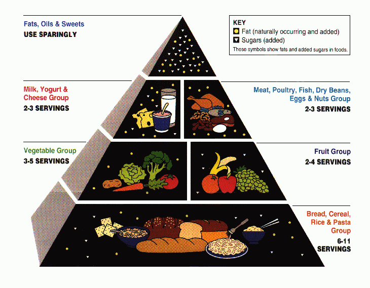 food pyramid food pyramid - tips for grocery shopping