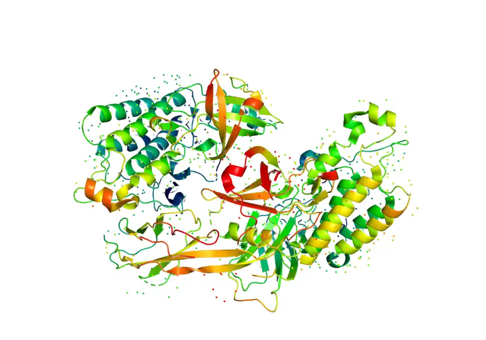 Protein molecule